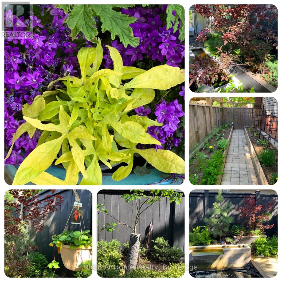 5224 Verhoeven Road, Burlington, Ontario  L7L 3A9 - Photo 47 - W12964118