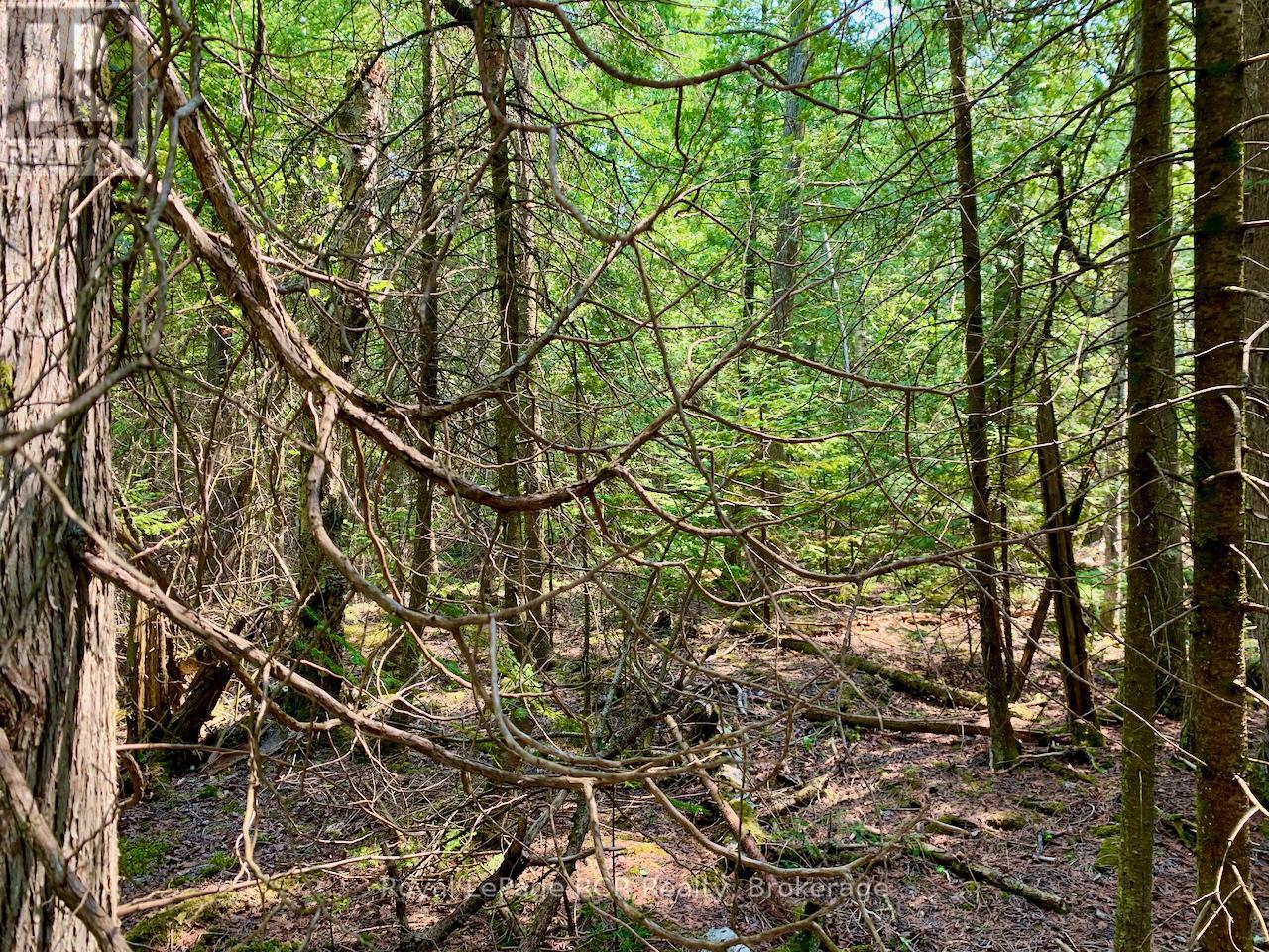 30 Pike Street, Northern Bruce Peninsula, Ontario  N0H 1W0 - Photo 10 - X12964192