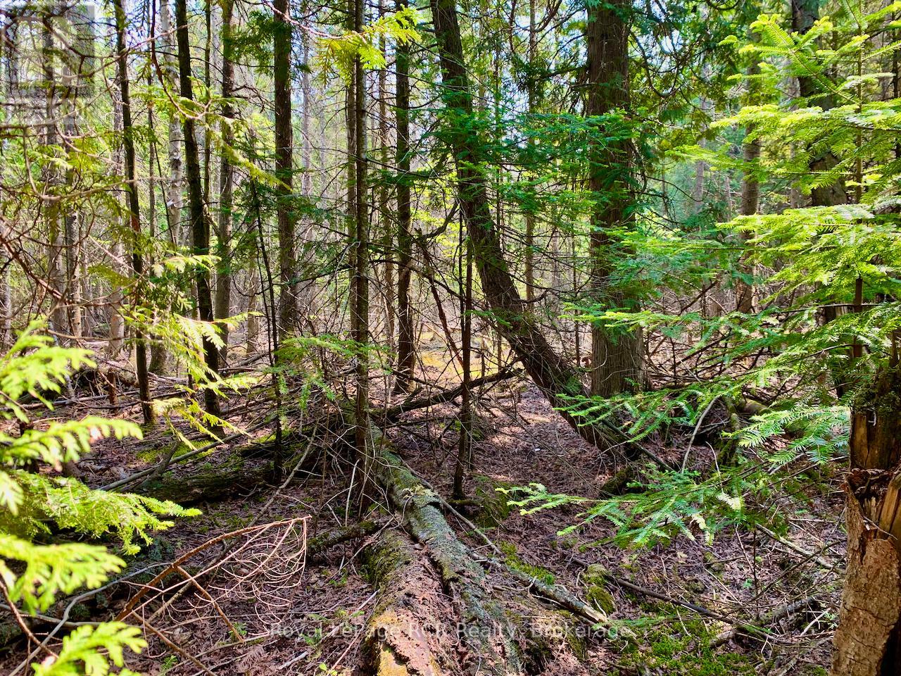 30 Pike Street, Northern Bruce Peninsula, Ontario  N0H 1W0 - Photo 11 - X12964192