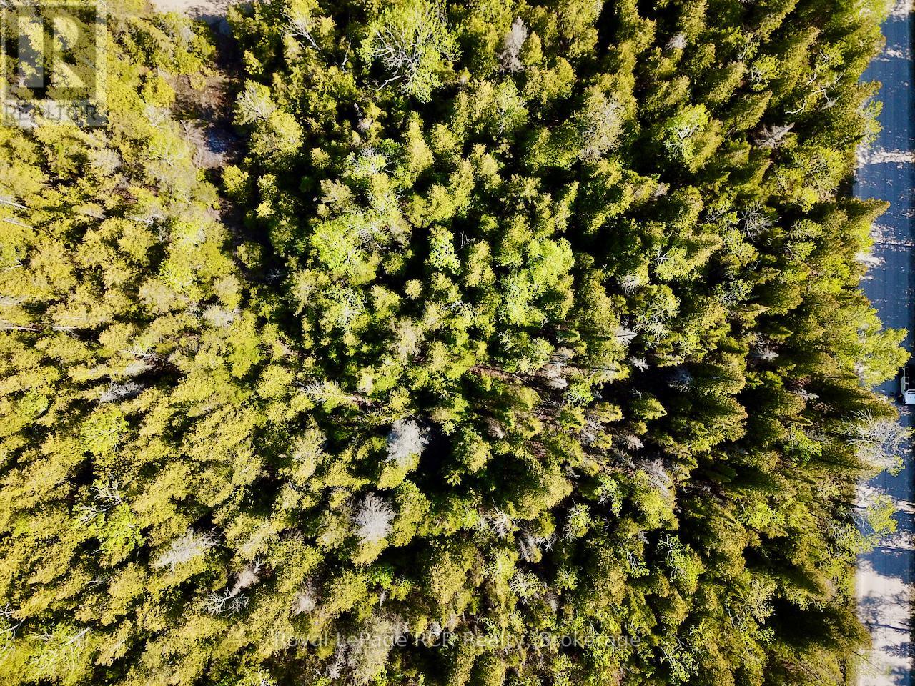 30 Pike Street, Northern Bruce Peninsula, Ontario  N0H 1W0 - Photo 16 - X12964192