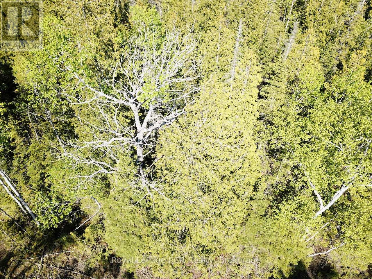 30 Pike Street, Northern Bruce Peninsula, Ontario  N0H 1W0 - Photo 6 - X12964192