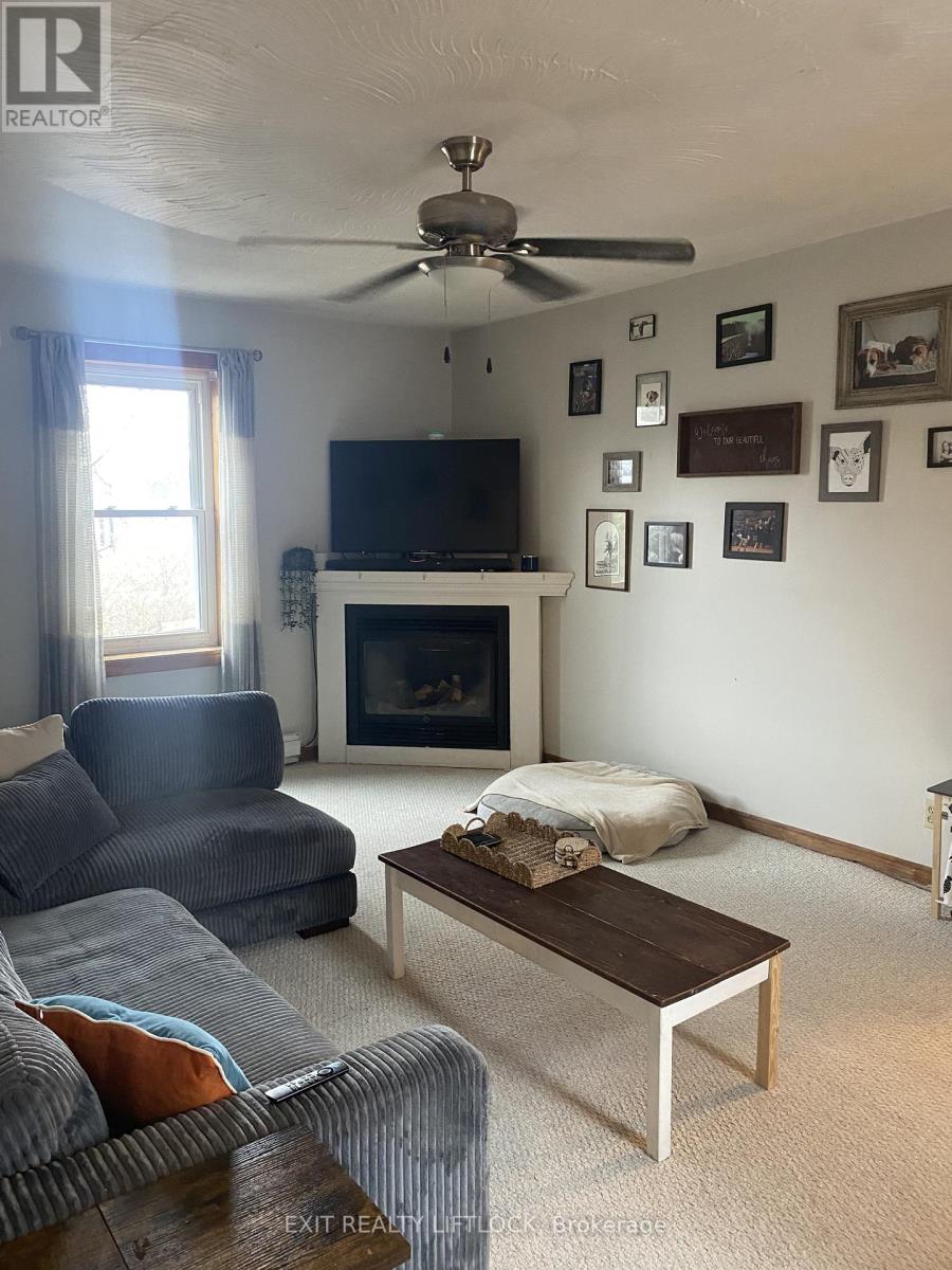 29 Hamilton Street, Kawartha Lakes, Ontario  K9V 3E4 - Photo 14 - X12964038