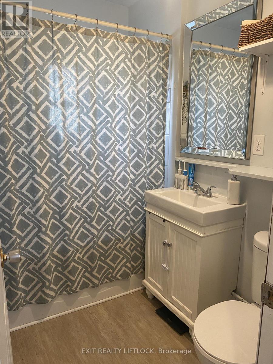 29 Hamilton Street, Kawartha Lakes, Ontario  K9V 3E4 - Photo 17 - X12964038