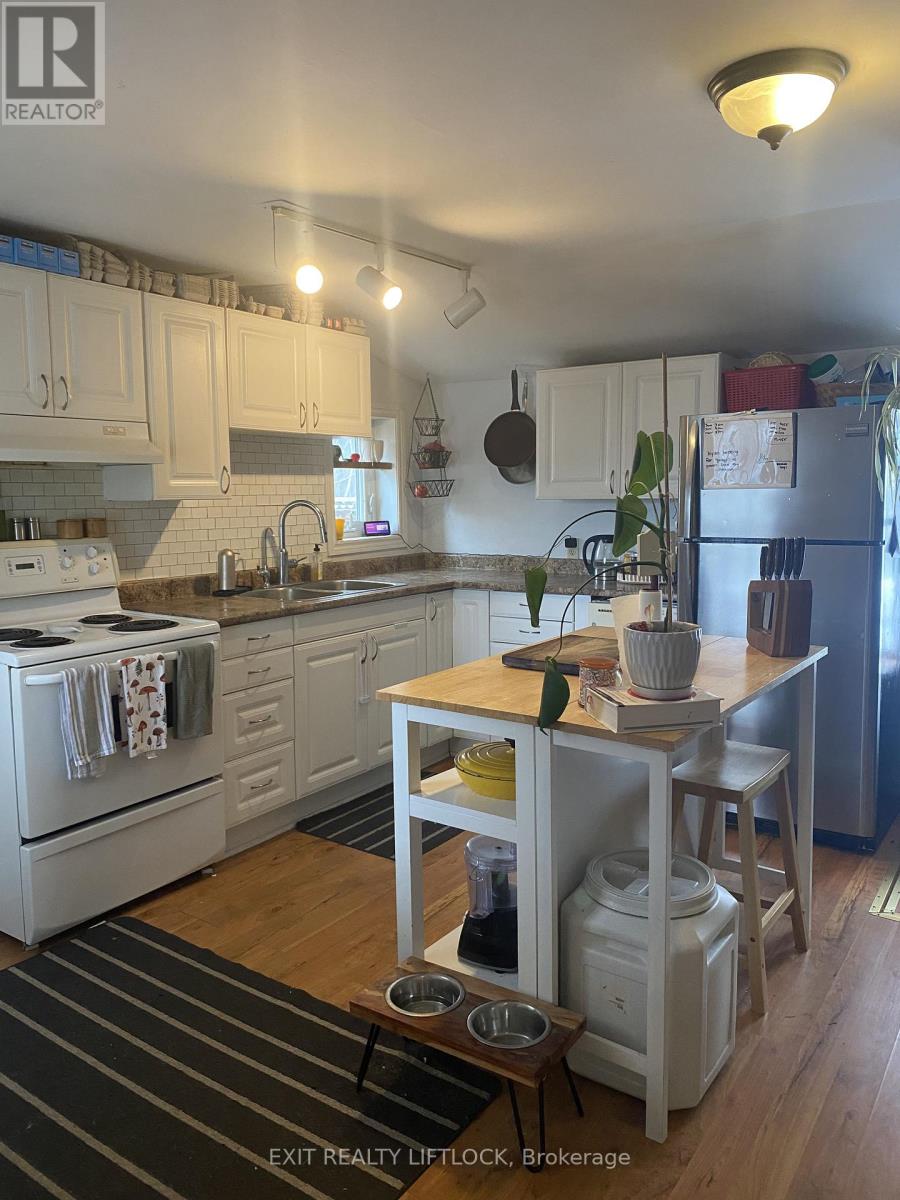 29 Hamilton Street, Kawartha Lakes, Ontario  K9V 3E4 - Photo 4 - X12964038