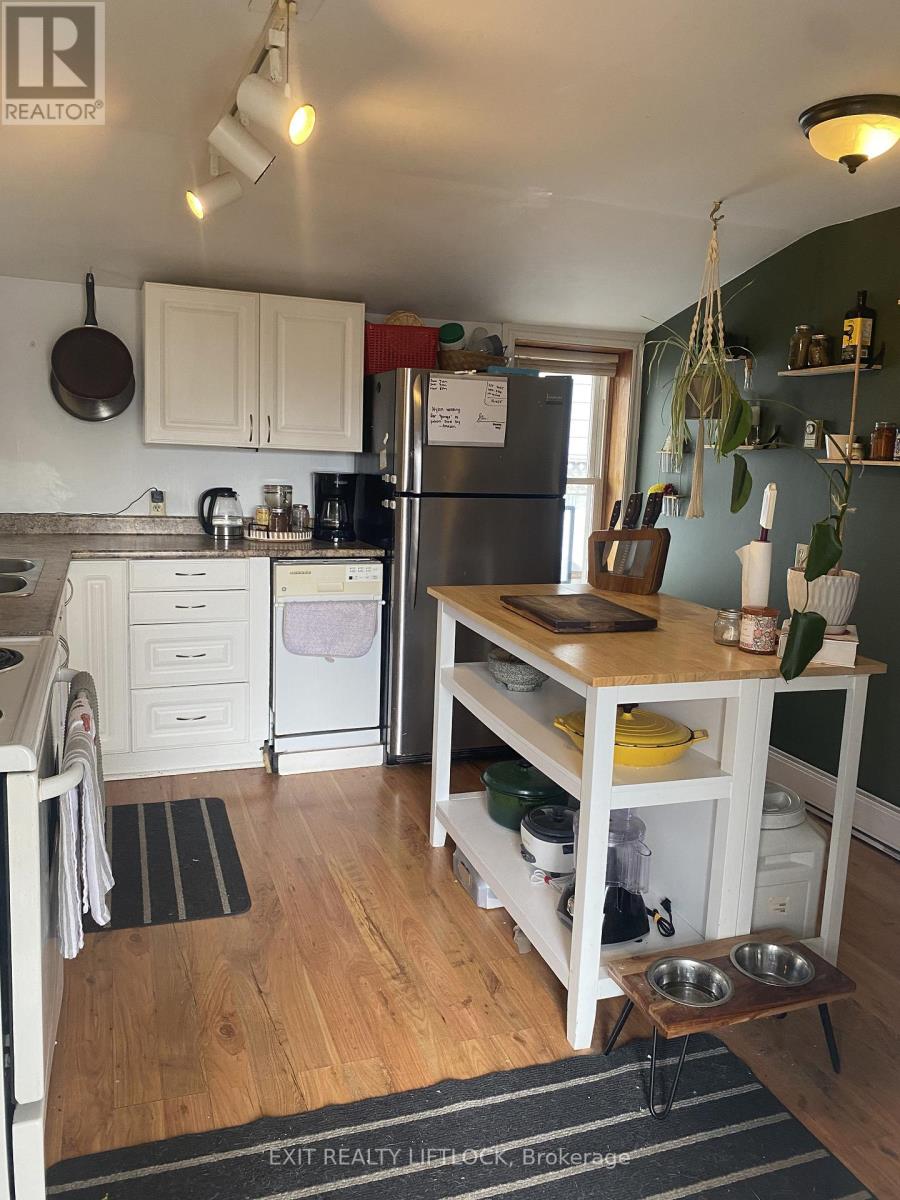 29 Hamilton Street, Kawartha Lakes, Ontario  K9V 3E4 - Photo 5 - X12964038