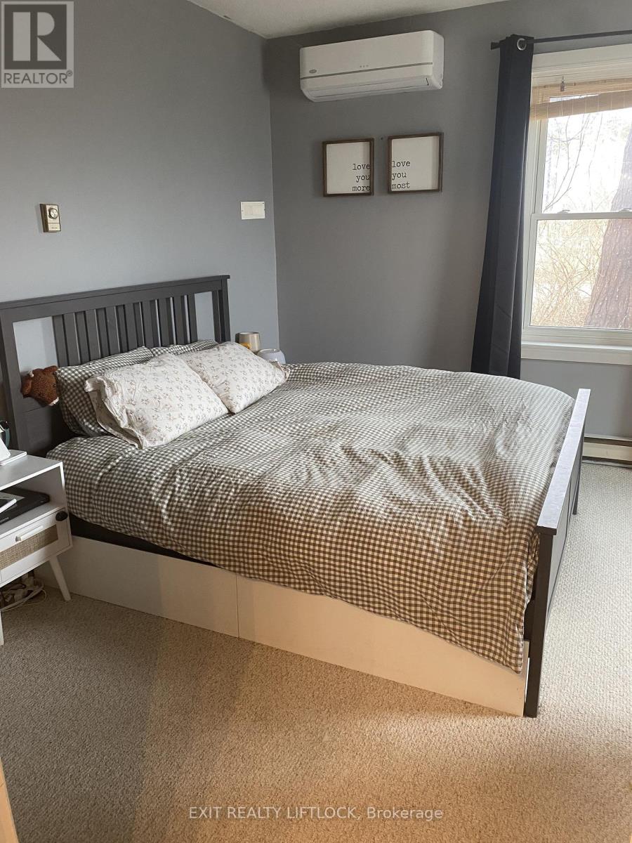 29 Hamilton Street, Kawartha Lakes, Ontario  K9V 3E4 - Photo 7 - X12964038