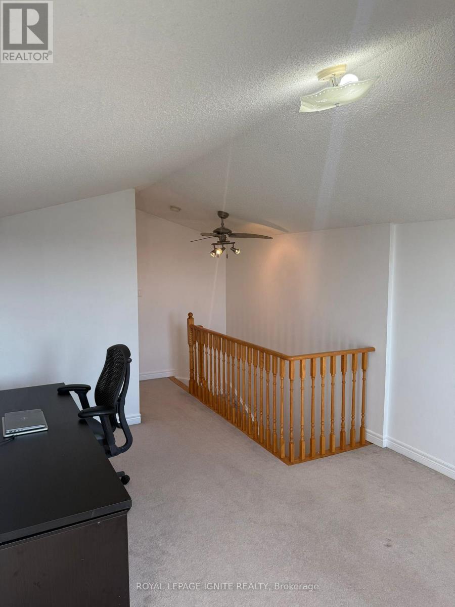 3 Todmorden Drive, Brampton, Ontario  L7A 1M5 - Photo 38 - W12952868