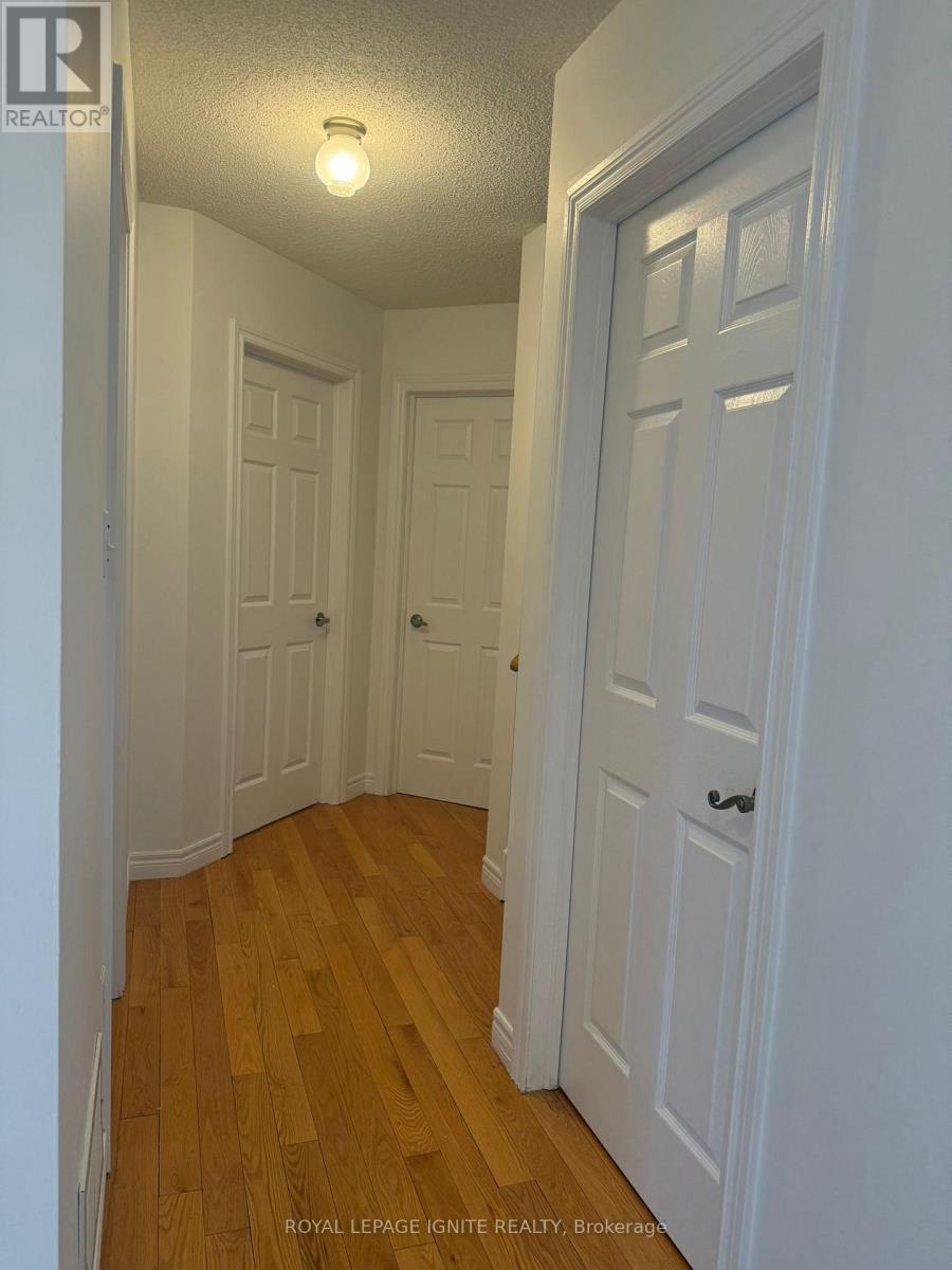 3 Todmorden Drive, Brampton, Ontario  L7A 1M5 - Photo 39 - W12952868