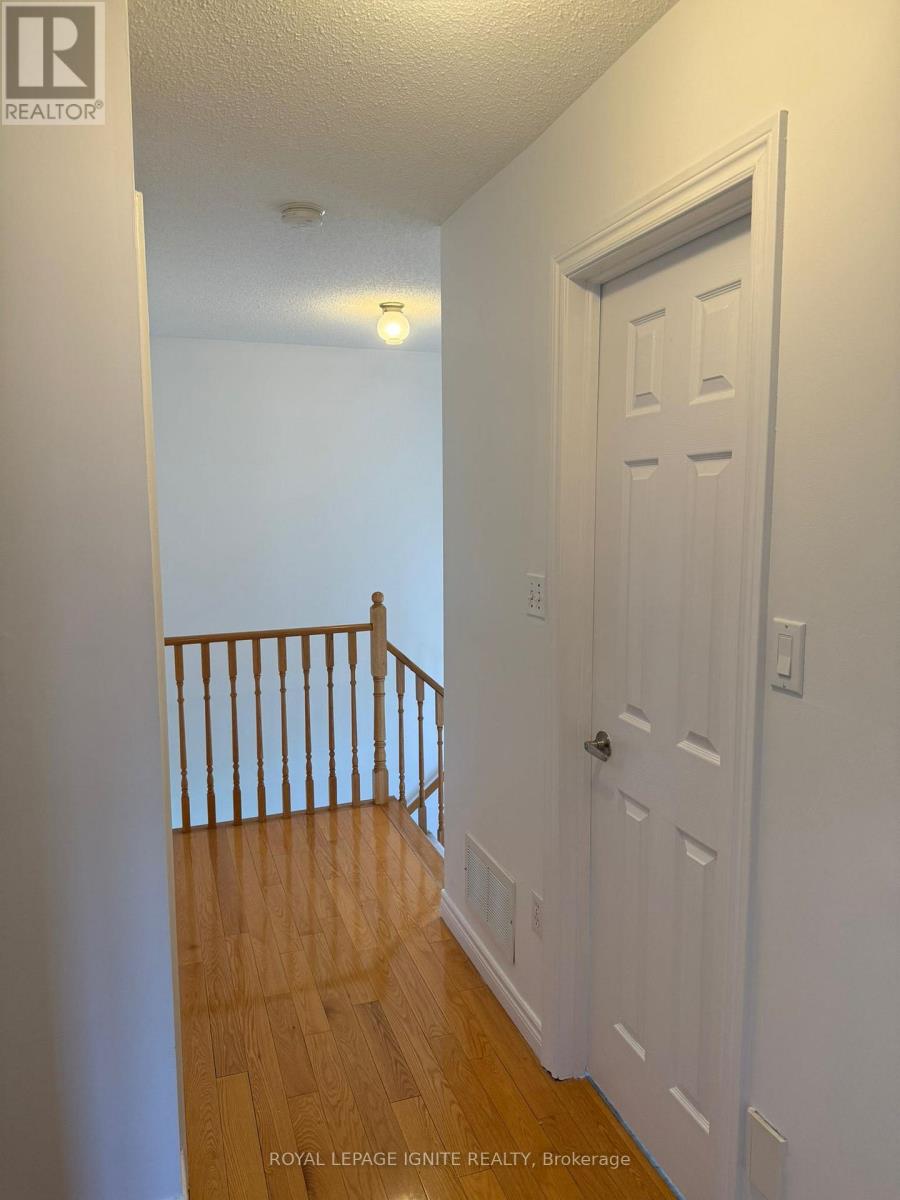 3 Todmorden Drive, Brampton, Ontario  L7A 1M5 - Photo 28 - W12952868