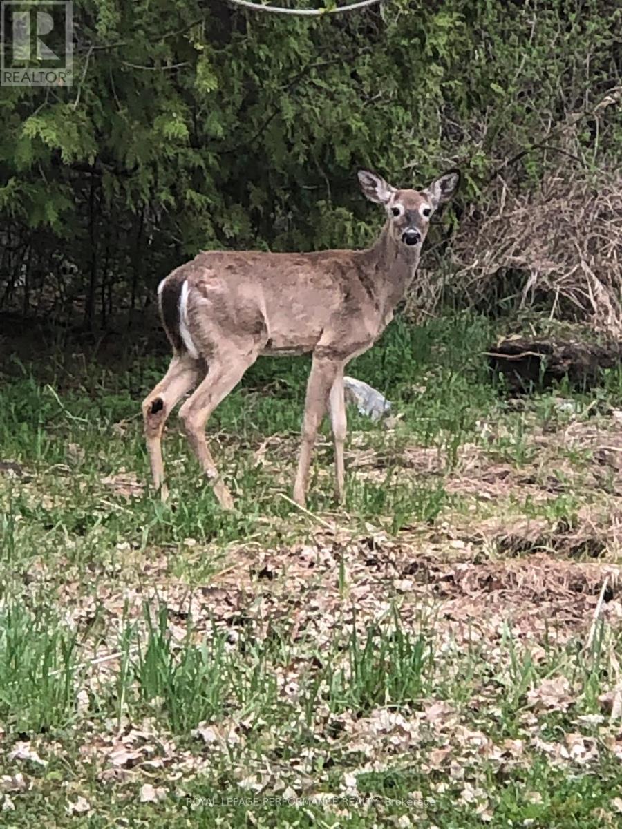 35, 35a And 37 Cloverloft Court, Ottawa, Ontario  K2S 1T3 - Photo 50 - X12811134