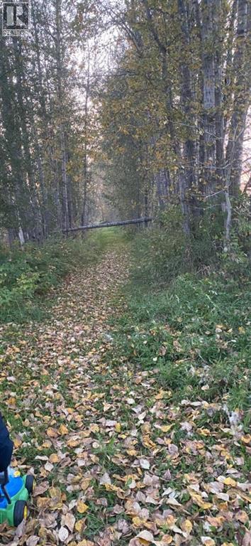 74504 172 Range, High Prairie, Alberta T0G 1E0 - Photo 4 - A2197123