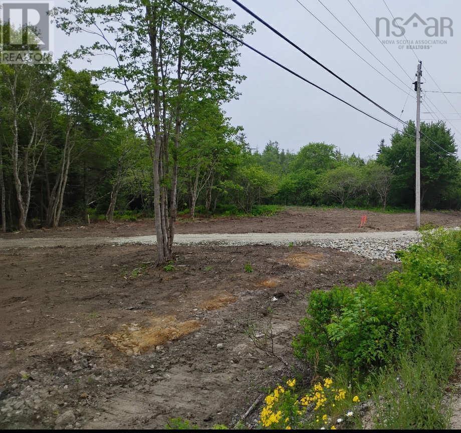 Gavel Road, Gavelton, Nova Scotia  B0W 3M0 - Photo 2 - 202526845