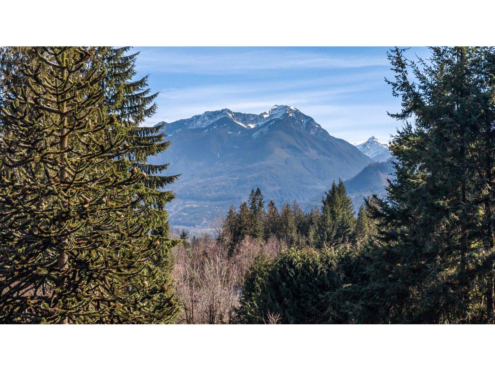 4895 Southside Road, Ryder Lake, Chilliwack, British Columbia V2R 4T6 - Photo 39 - R3096981