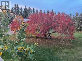 19252 462 Township, Rural Camrose County, Alberta  T4V 1X8 - Photo 38 - A2287222