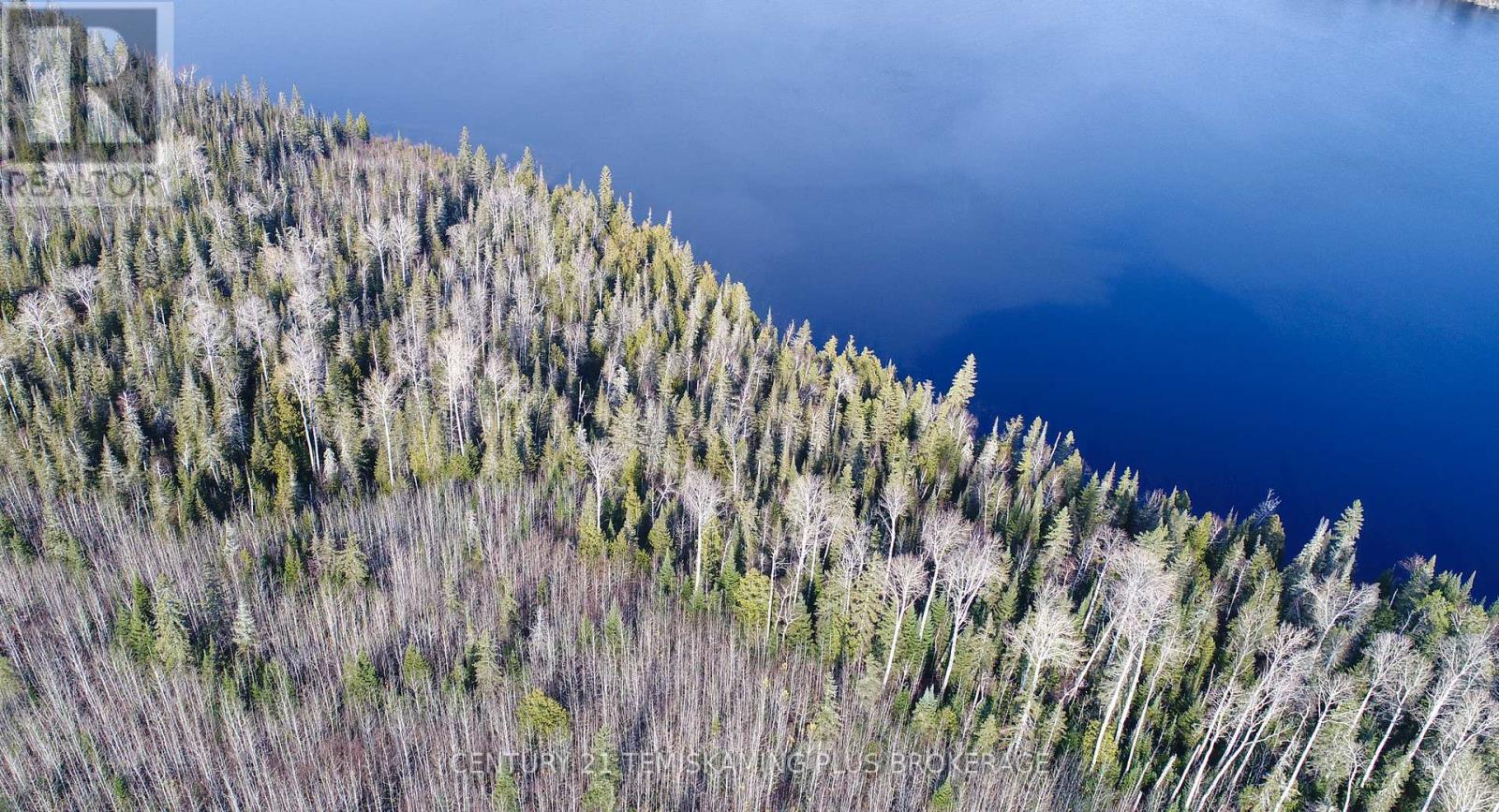 Lot 11 Con 4, Long Lake, Englehart (Central Timiskaming), Ontario  P0J 1H0 - Photo 2 - T12964294