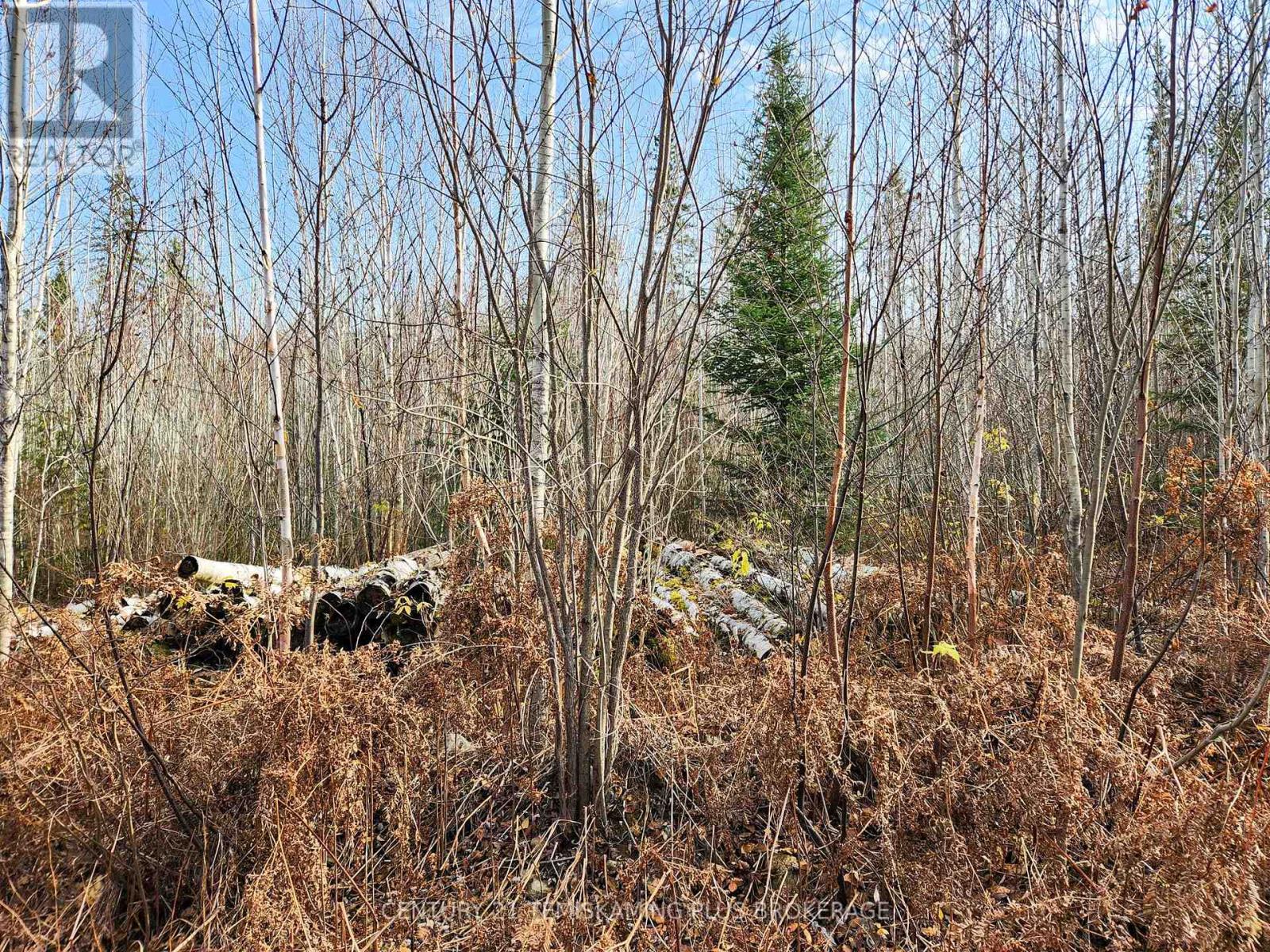 Lot 11 Con 4, Long Lake, Englehart (Central Timiskaming), Ontario  P0J 1H0 - Photo 23 - T12964294