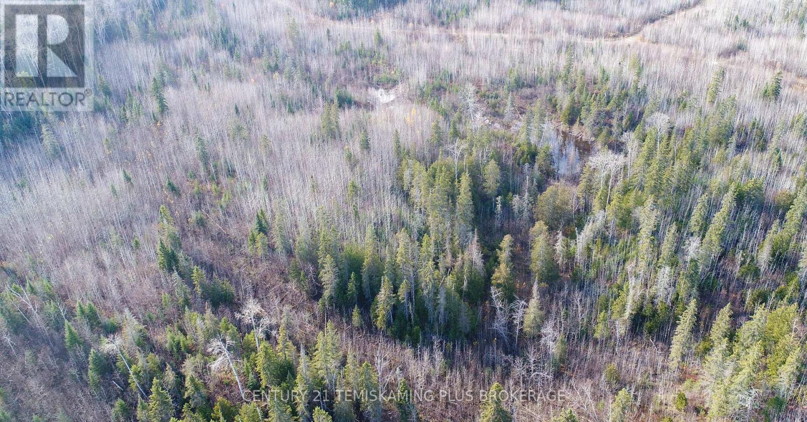 Lot 11 Con 4, Long Lake, Englehart (Central Timiskaming), Ontario  P0J 1H0 - Photo 9 - T12964294
