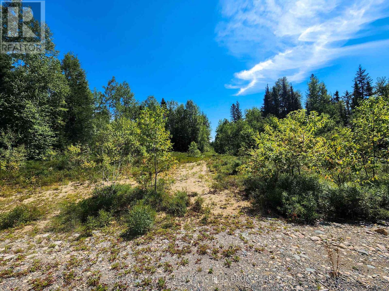 Lt7 Cn1 Beauchamp/henwood Boundar Road, Timiskaming, Ontario  P0J 1E0 - Photo 28 - T12964360