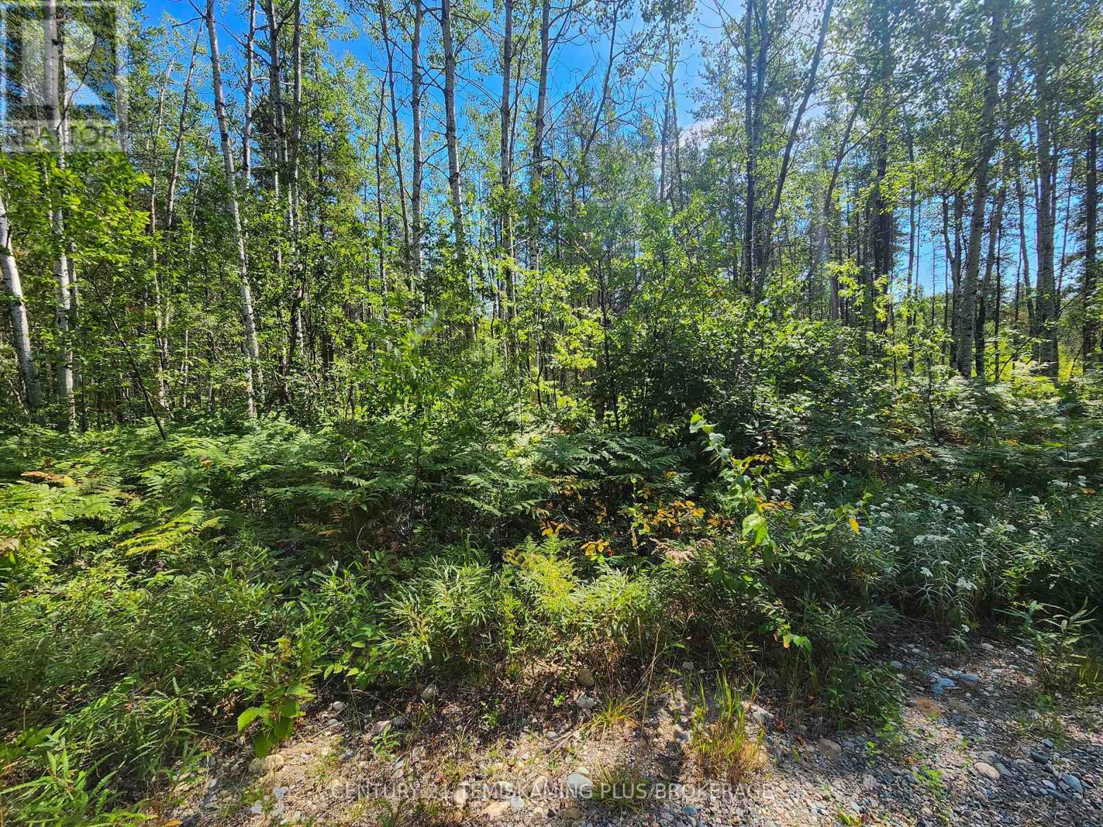 Lt7 Cn1 Beauchamp/henwood Boundar Road, Timiskaming, Ontario  P0J 1E0 - Photo 29 - T12964360