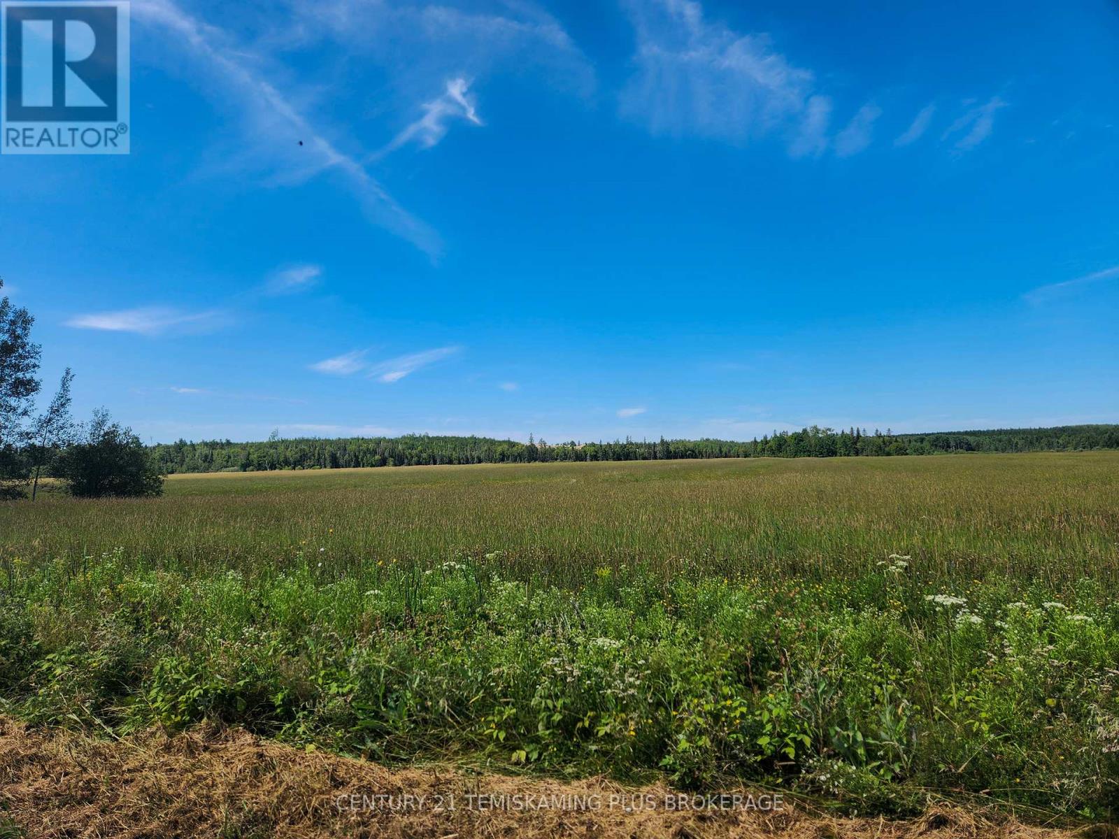 Lt7 Cn1 Beauchamp/henwood Boundar Road, Timiskaming, Ontario  P0J 1E0 - Photo 35 - T12964360