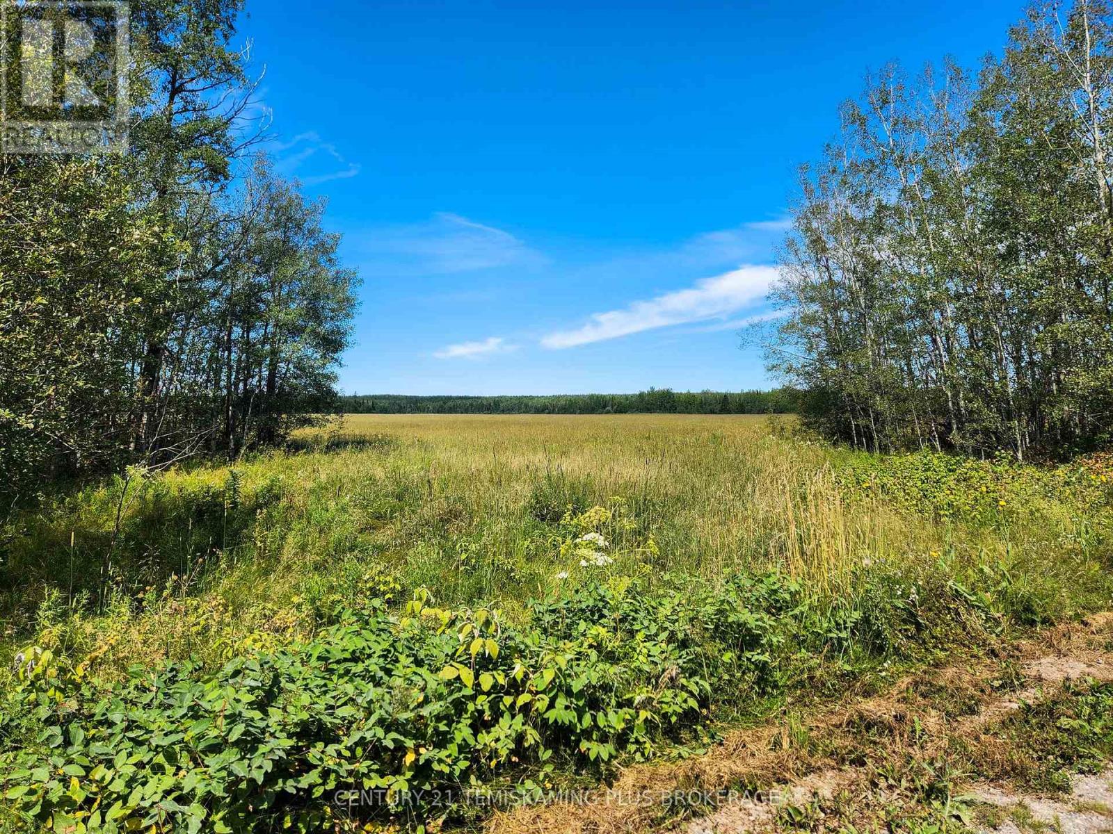 Lt7 Cn1 Beauchamp/henwood Boundar Road, Timiskaming, Ontario  P0J 1E0 - Photo 36 - T12964360