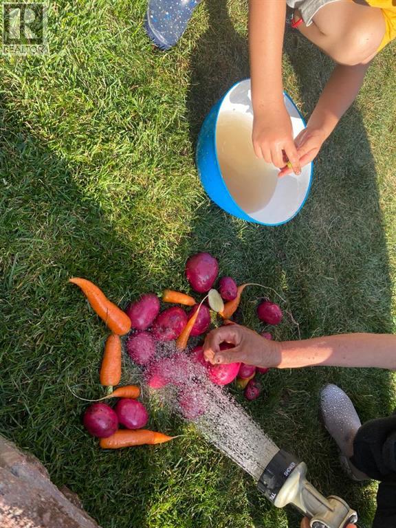 171 Kinniburgh Road, Chestermere, Alberta  T1X 0T8 - Photo 40 - A2283811