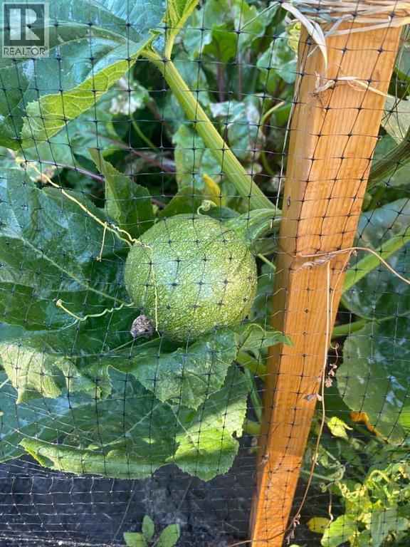 171 Kinniburgh Road, Chestermere, Alberta  T1X 0T8 - Photo 37 - A2283811