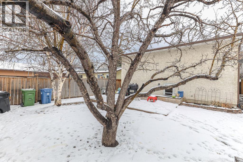 824 Whitemont Drive NE, Calgary, Alberta  T1Y 3N1 - Photo 41 - A2299462