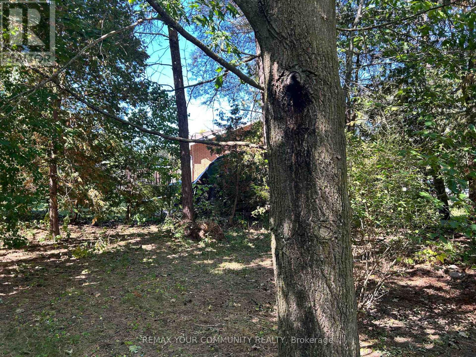 66 Bradford Street, East Gwillimbury, Ontario  L9N 1G6 - Photo 14 - N12964134