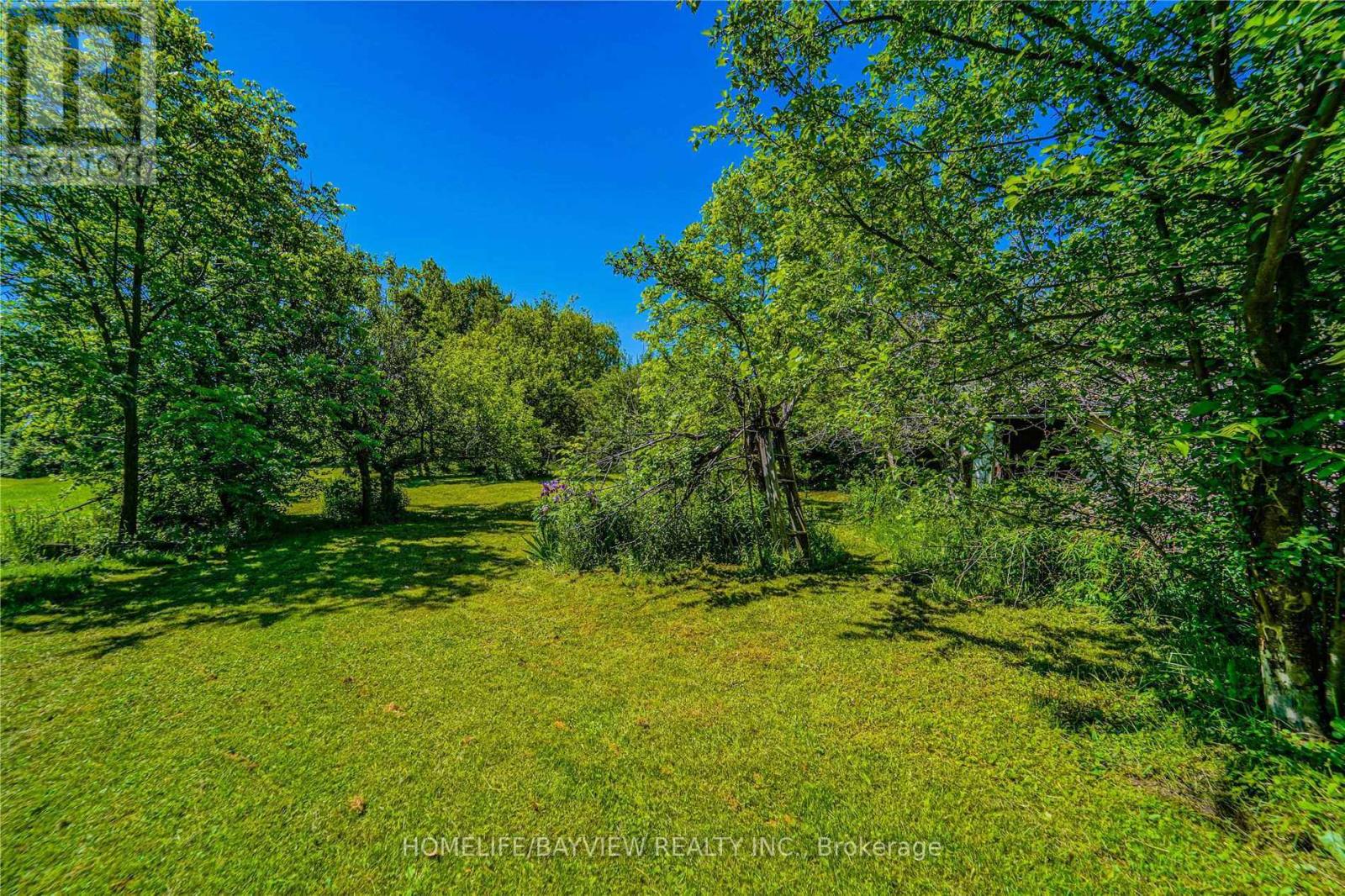 85 Yongehurst Road, Richmond Hill, Ontario  L4C 3T3 - Photo 12 - N12964162