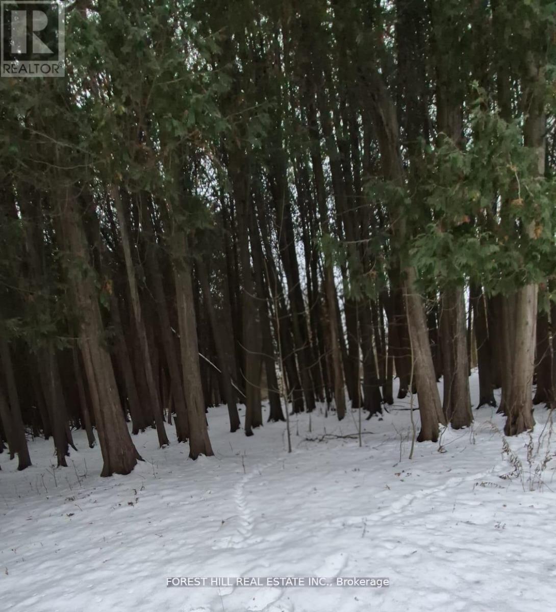 6263 Finnerty Road, Caledon, Ontario  L7K 1C9 - Photo 8 - W12964168