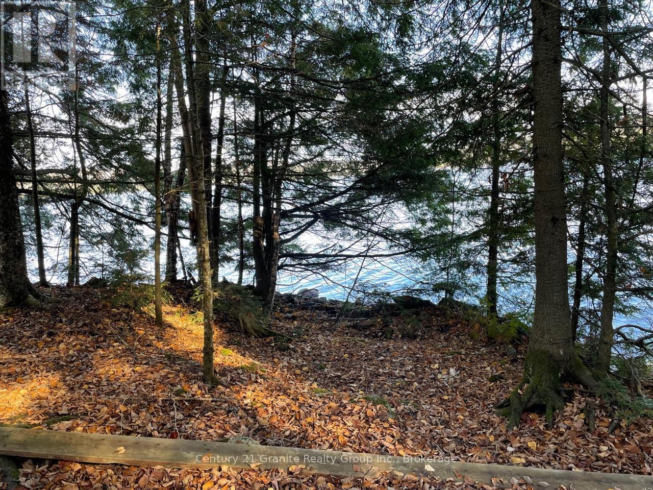 1038 Broken Paddle Road, Dysart Et Al, Ontario  K0M 1S0 - Photo 33 - X12964450