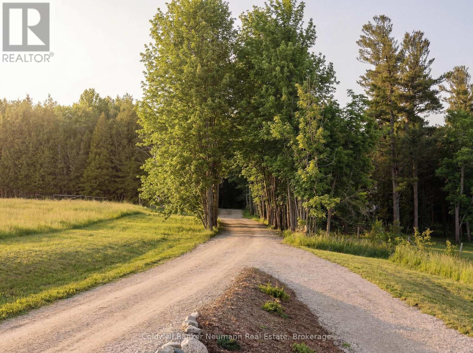 234089 Conc 2 Road, West Grey, Ontario  N0G 1R0 - Photo 42 - X12964554