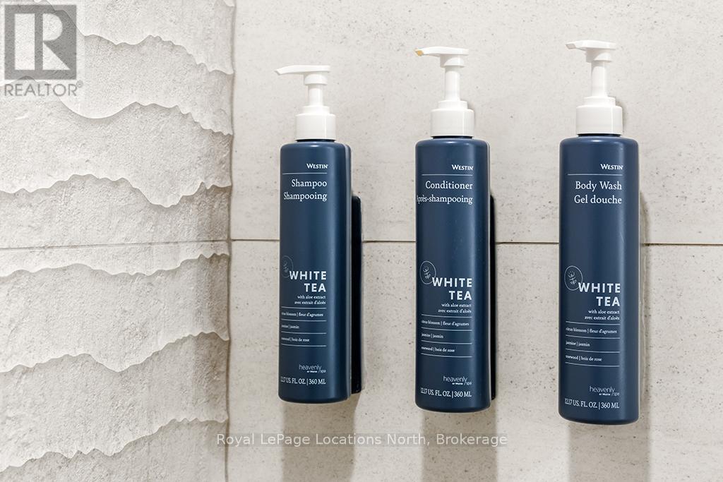 313 - 220 Gord Canning Drive, Blue Mountains, Ontario  L9Y 0V2 - Photo 27 - X12964656