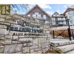 313 - 220 GORD CANNING DRIVE, blue mountains, Ontario
