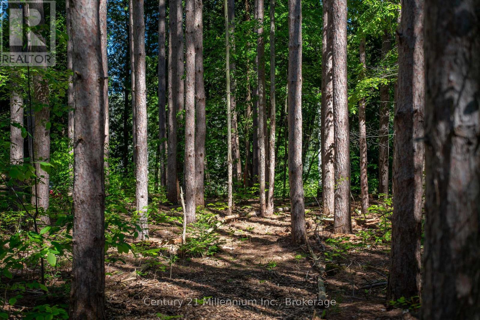 46 Riverside Place, South Bruce Peninsula, Ontario  N0H 2G0 - Photo 9 - X12964684