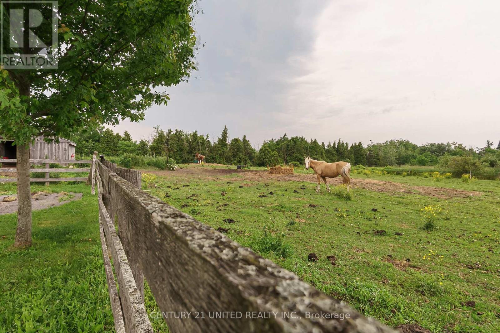 1662 11th Line, Selwyn, Ontario  K0L 2H0 - Photo 40 - X12964428