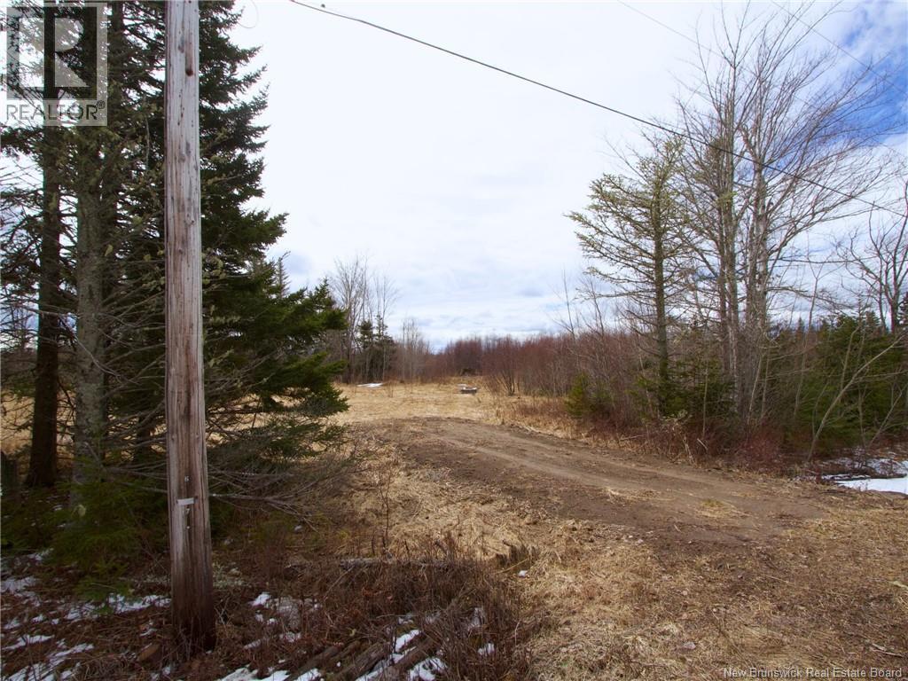 Lot Moore Road, Port Elgin, New Brunswick  E4M 3Y1 - Photo 1 - NB136555