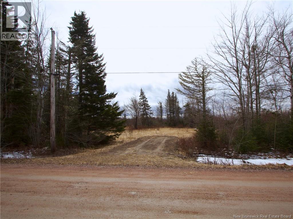 Lot Moore Road, Port Elgin, New Brunswick  E4M 3Y1 - Photo 2 - NB136555