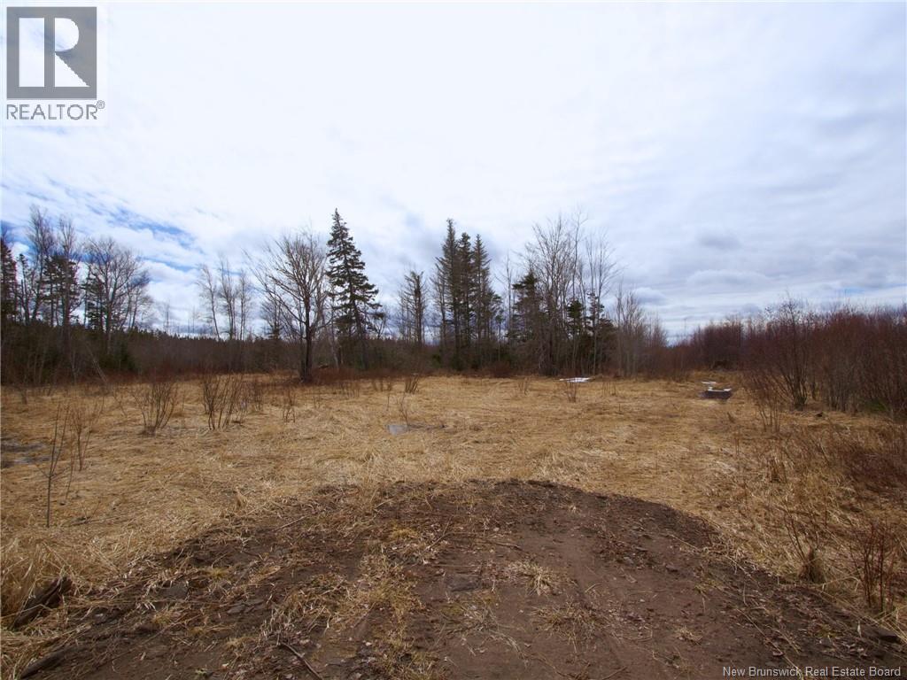 Lot Moore Road, Port Elgin, New Brunswick  E4M 3Y1 - Photo 3 - NB136555