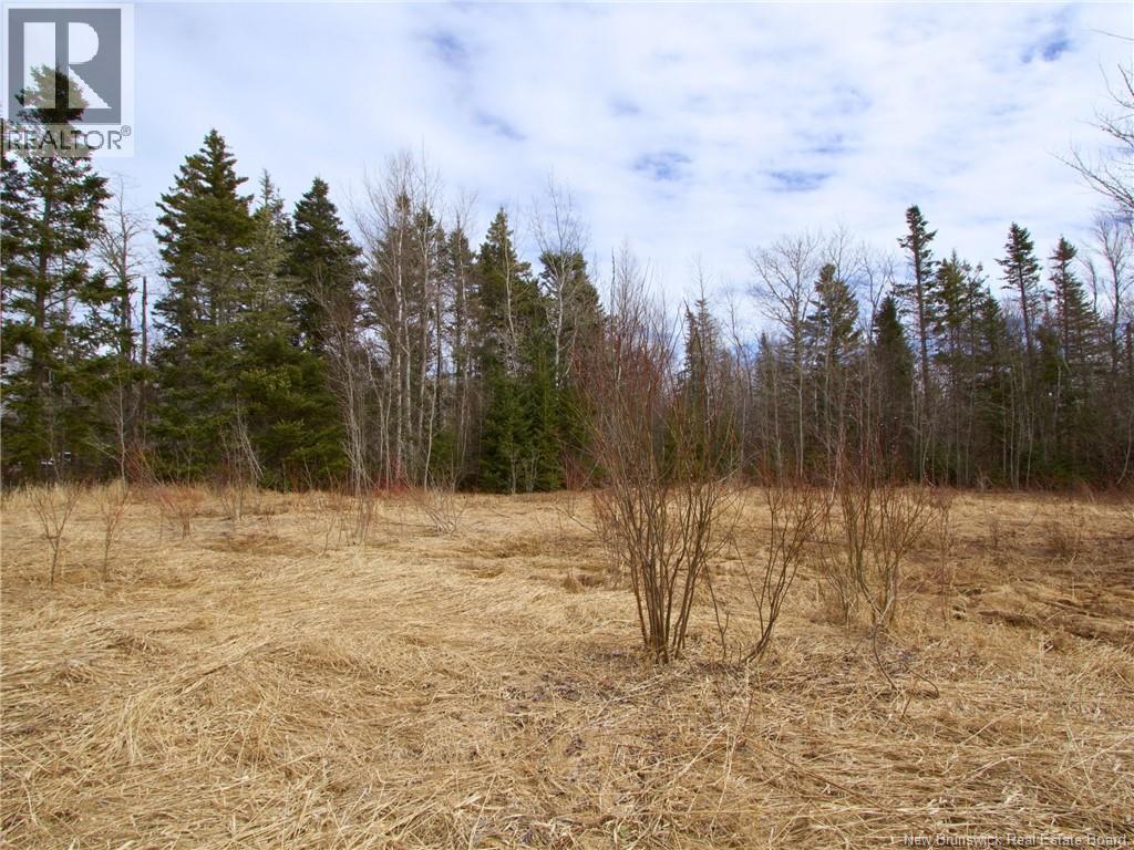 Lot Moore Road, Port Elgin, New Brunswick  E4M 3Y1 - Photo 4 - NB136555