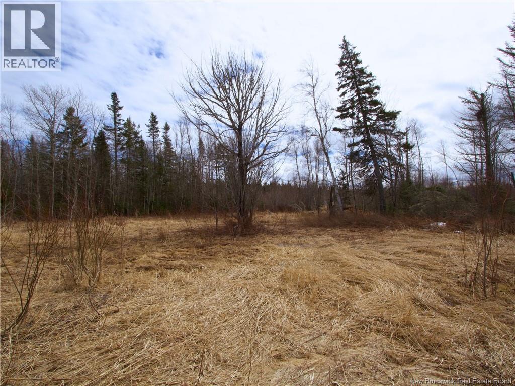 Lot Moore Road, Port Elgin, New Brunswick  E4M 3Y1 - Photo 5 - NB136555