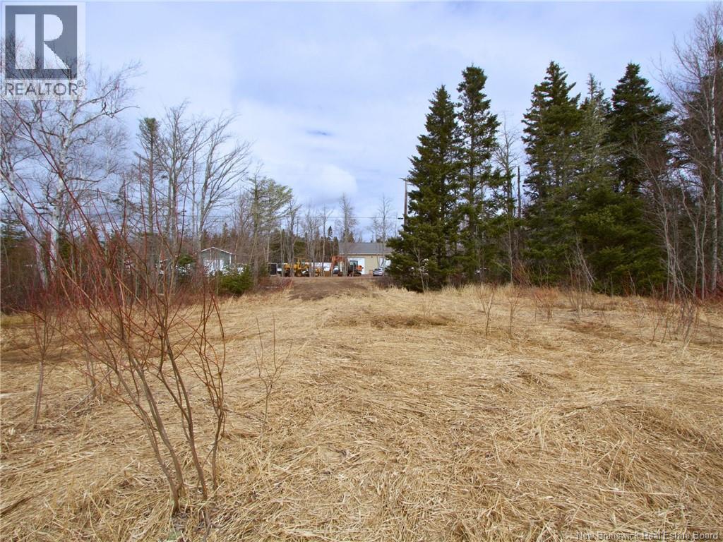 Lot Moore Road, Port Elgin, New Brunswick  E4M 3Y1 - Photo 6 - NB136555