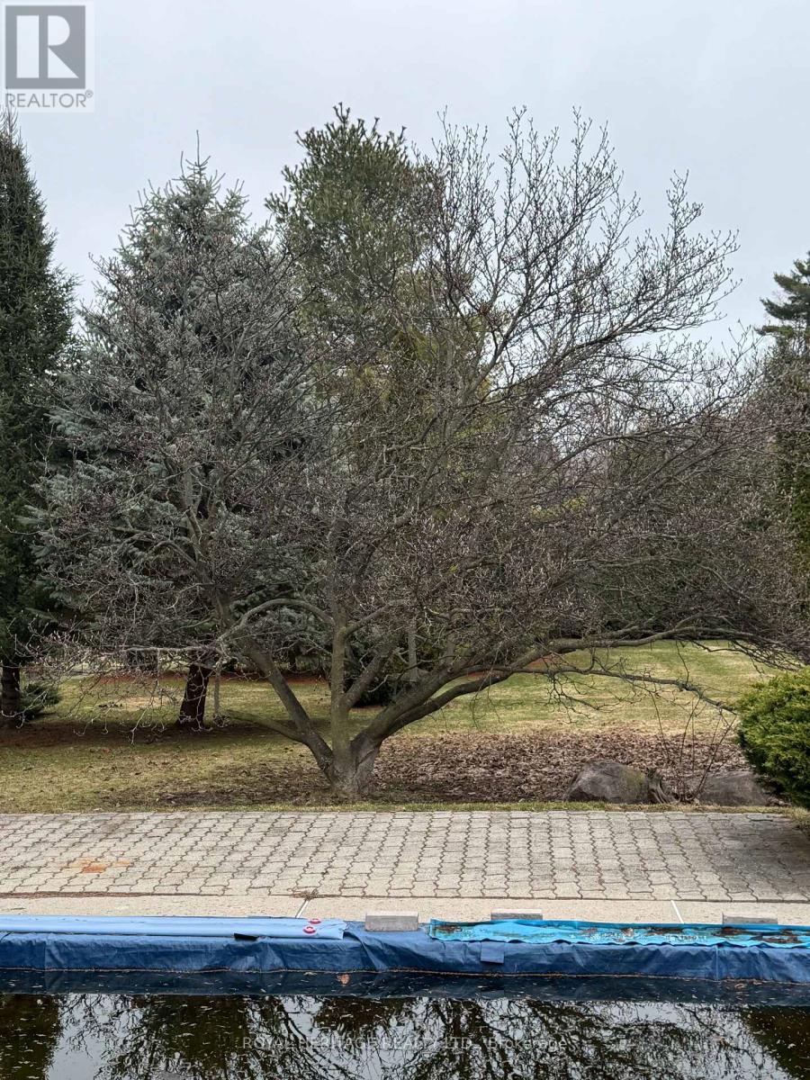 527 Rougemount Drive, Pickering, Ontario  L1W 2C1 - Photo 9 - E12964474