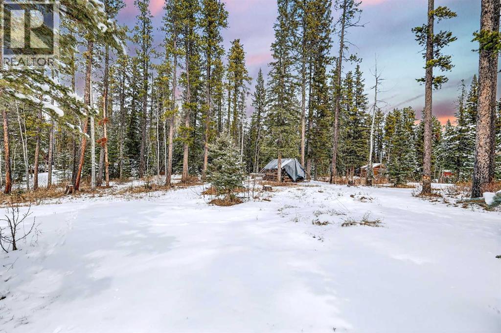 336 Wild Rose Close, Rural Rocky View County, Alberta  T0L 0K0 - Photo 40 - A2298709