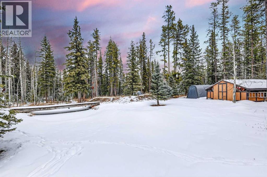 336 Wild Rose Close, Rural Rocky View County, Alberta  T0L 0K0 - Photo 45 - A2298709