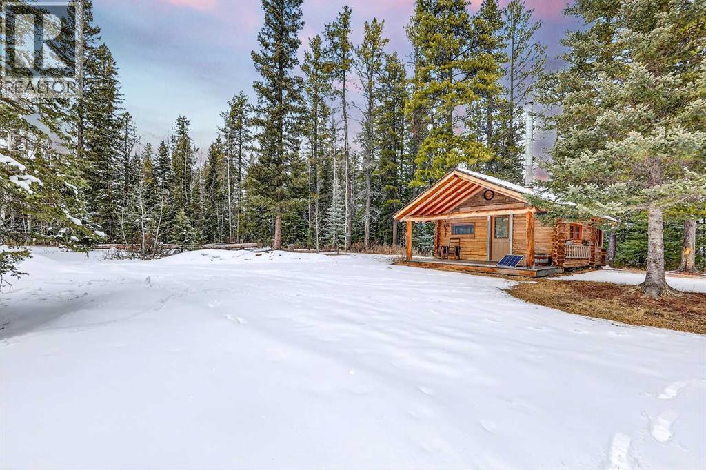 336 Wild Rose Close, Rural Rocky View County, Alberta  T0L 0K0 - Photo 46 - A2298709