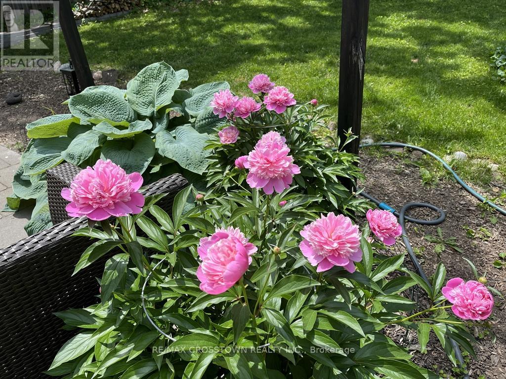 99 Bishop Drive, Barrie, Ontario  L4N 7P4 - Photo 39 - S12964544