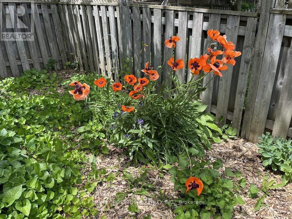 99 Bishop Drive, Barrie, Ontario  L4N 7P4 - Photo 40 - S12964544