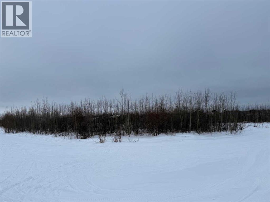 104 Janke Lane, Saprae Creek, Alberta  T9H 5B4 - Photo 5 - A2283179